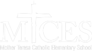 MTCES - Website Logo